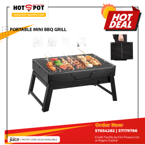 PORTABLE MINI BBQ GRILL